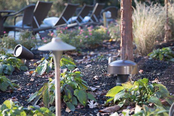 Outdoor garden with landscape lighting, lush greenery, and seating area.